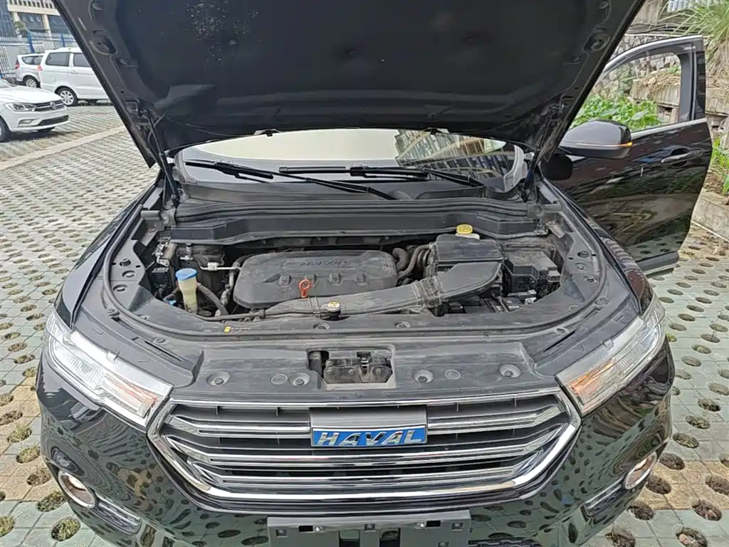 Haval H6 2017 Blue Label 1.3T Automatic 2WD Trend фото 20