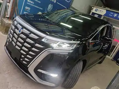 Denza D9