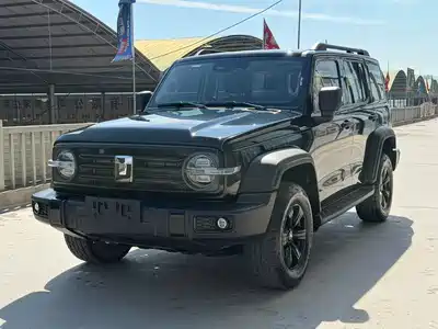 Tank 300