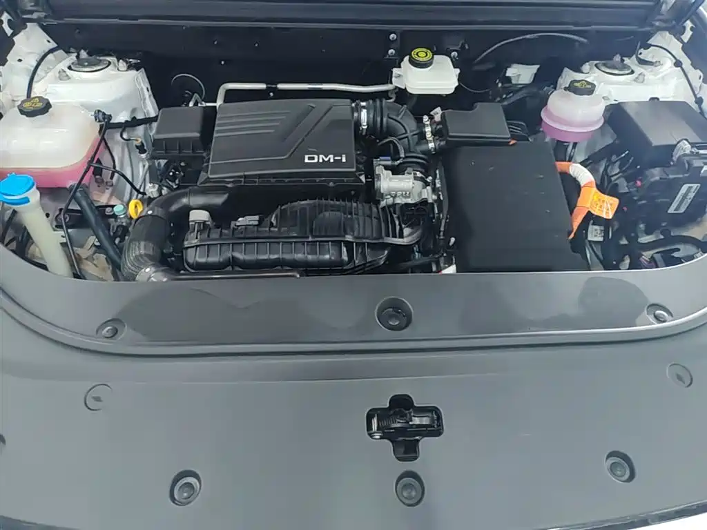 BYD Song Pro New Energy 2024 Glory Edition DM-i 71KM Leading фото 20
