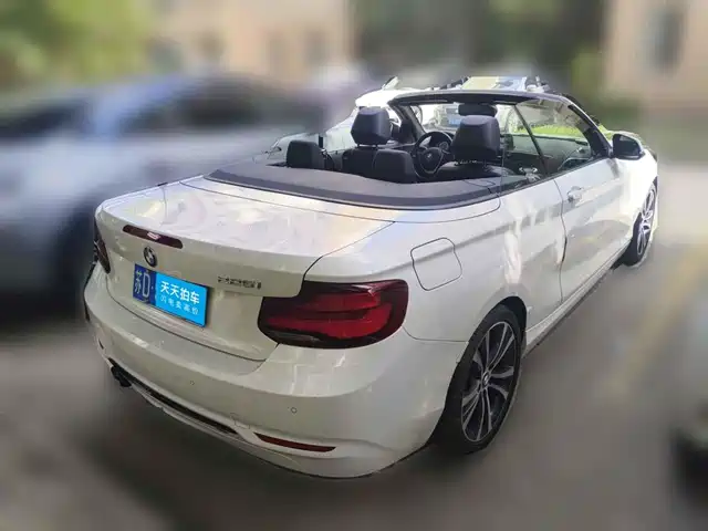 BMW 2 Series (Import) 2019 225i Convertible Coupe Sport Design Package — фото 2