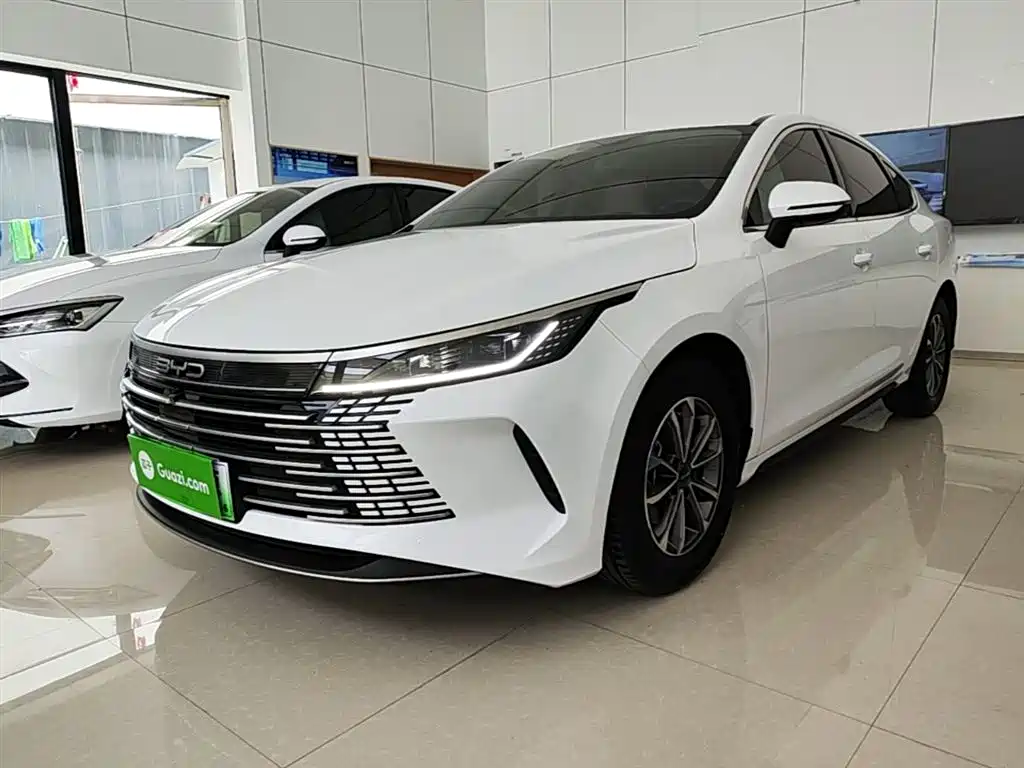 BYD Destroyer 05 2024 Glory Edition DM-i 55KM Luxury фото 2