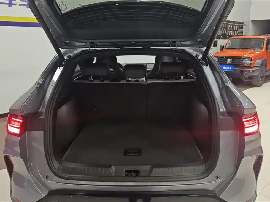 BYD SONGJIANG NEW ENERGY