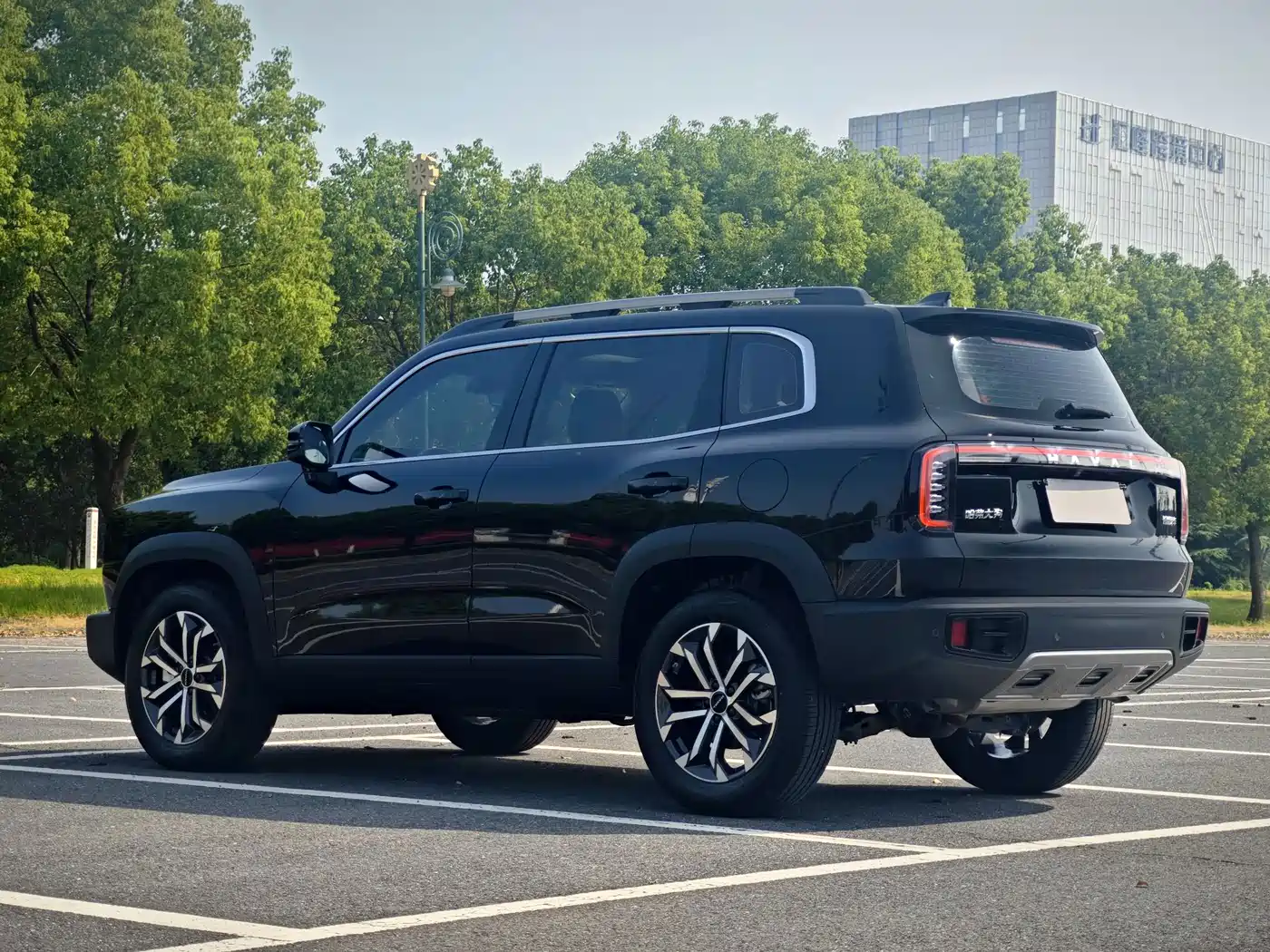 Haval Dargo 2024 2024 1.5T DCT Border Collie Edition