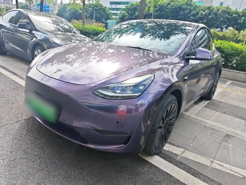 Tesla Model Y 2021 2021 Long Range All-Wheel Drive 3D7