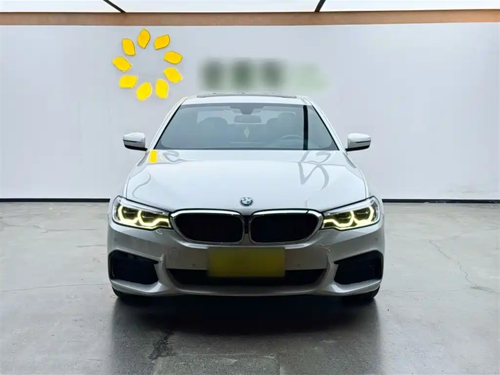 BMW 5 Series 2020 530Li Exclusive M Sport Package фото 3