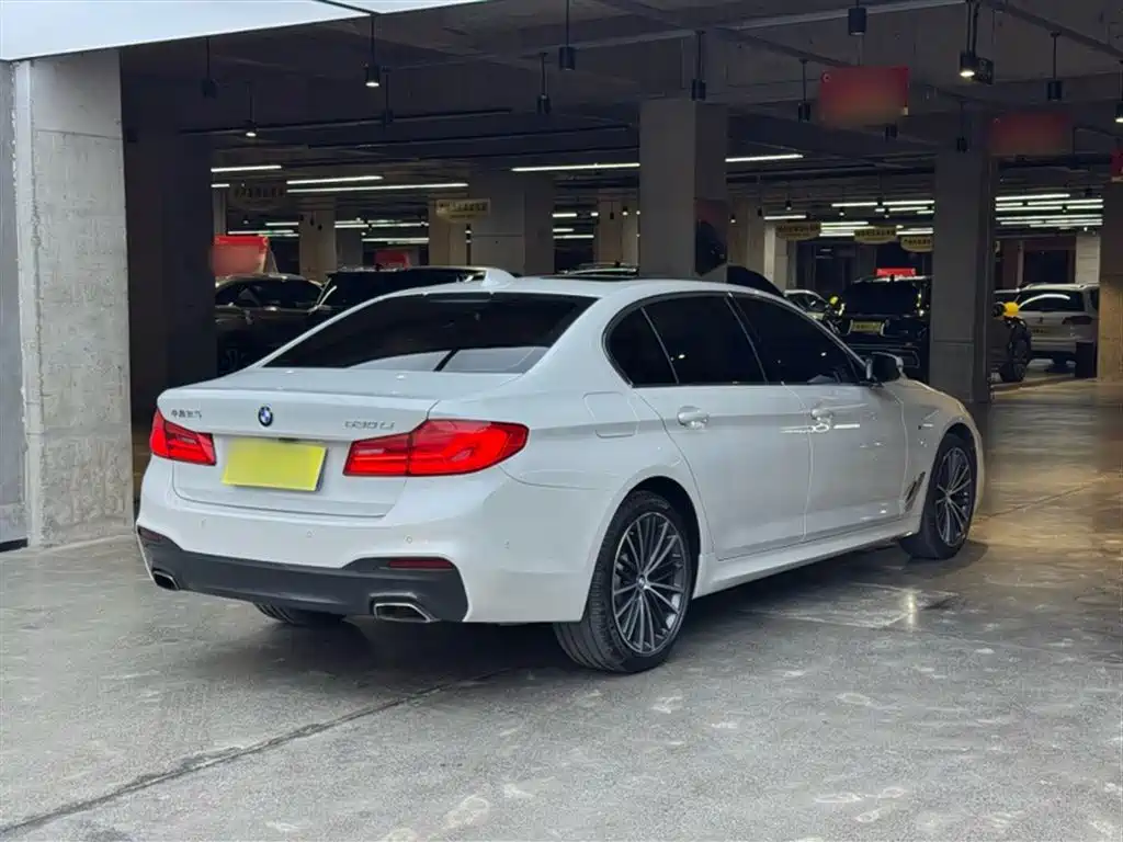 BMW 5 Series 2020 530Li Exclusive M Sport Package фото 8