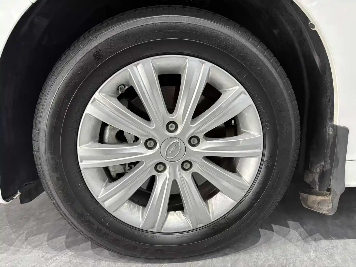 GAC Trumpchi Trumpchi M8 2020 Pilot 390T Luxury Edition фото 7