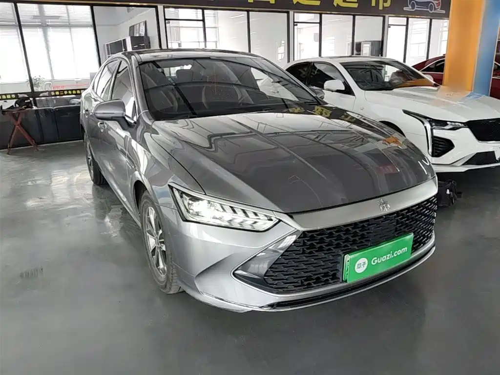BYD Qin PLUS 2024 Glory Edition DM-i 55KM Leading фото 4