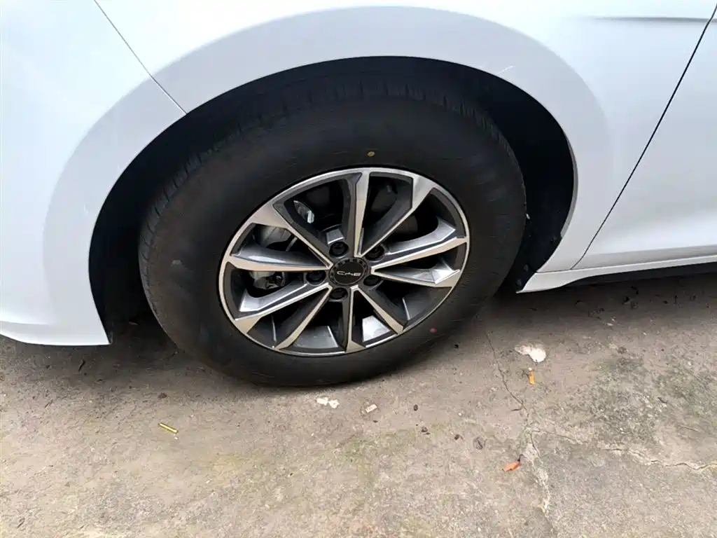 BYD Destroyer 05 2024 Glory Edition DM-i 55KM Luxury фото 23