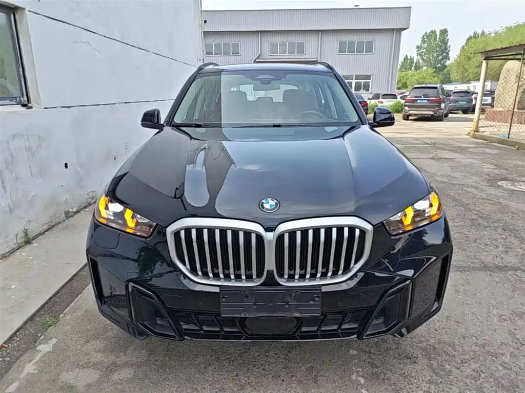 BMW X5 2023 xDrive 30Li Premium M Sport Black Night Package фото 3