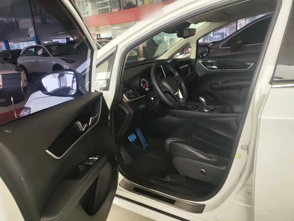 صورة 16 - BYD Song MAX