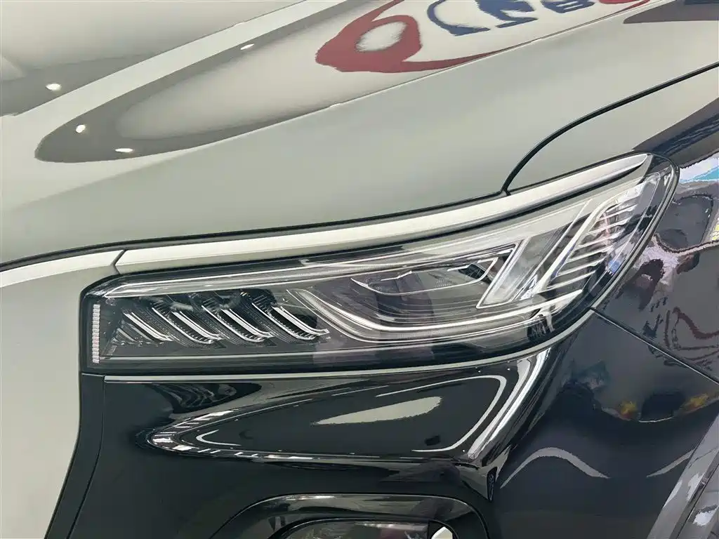 Hongqi HS5 2023 2.0T Flag Enjoy Pro Edition фото 11