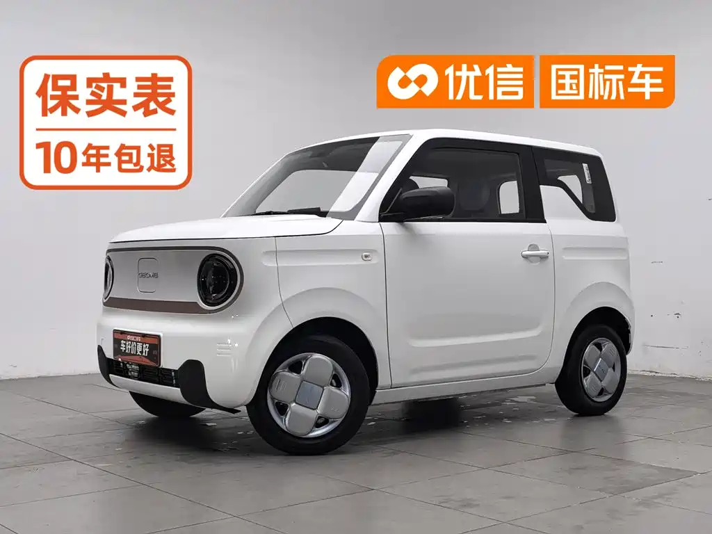 Geely Galaxy Panda 2026 2024 Panda mini 200km Endurance Bear
