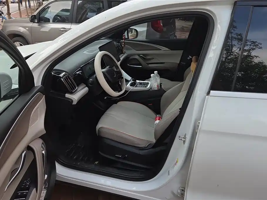 BYD Song Pro New Energy 2023 Champion Edition DM-i 110KM Excellence фото 9