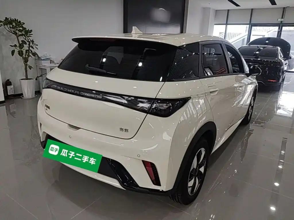 BYD Dolphin 2026 2025 420km Freedom Edition