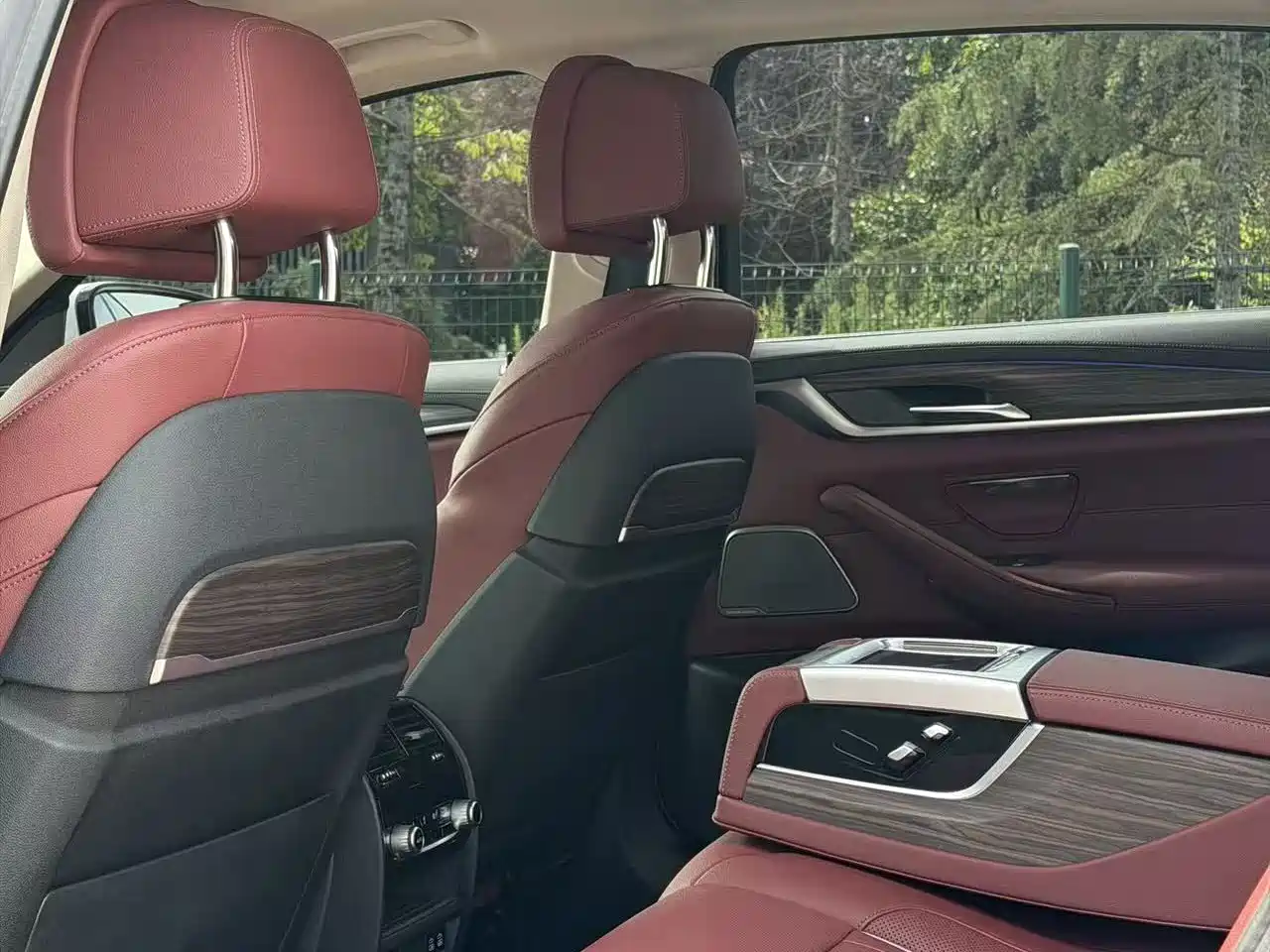 BMW 5 Series 2021 530Li Premium Luxury Package фото 9