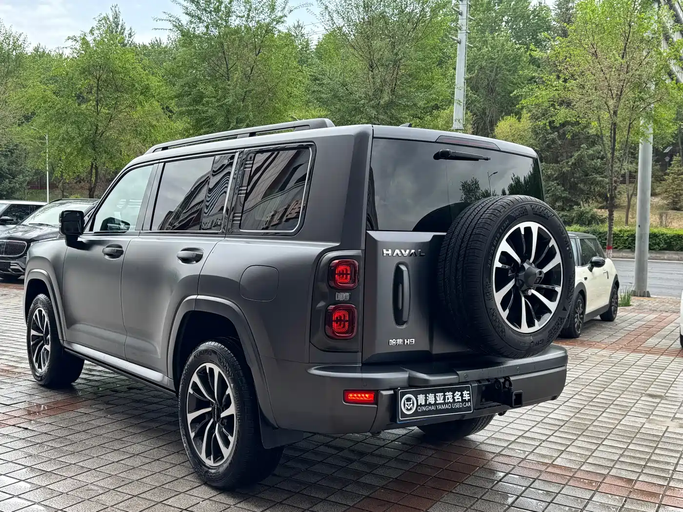 HAVAL H9