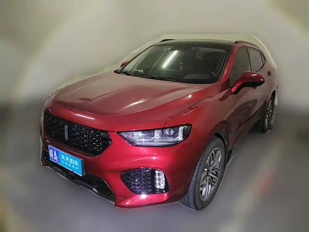 WEY VV5 2017 2017 2.0T Super Luxury Model