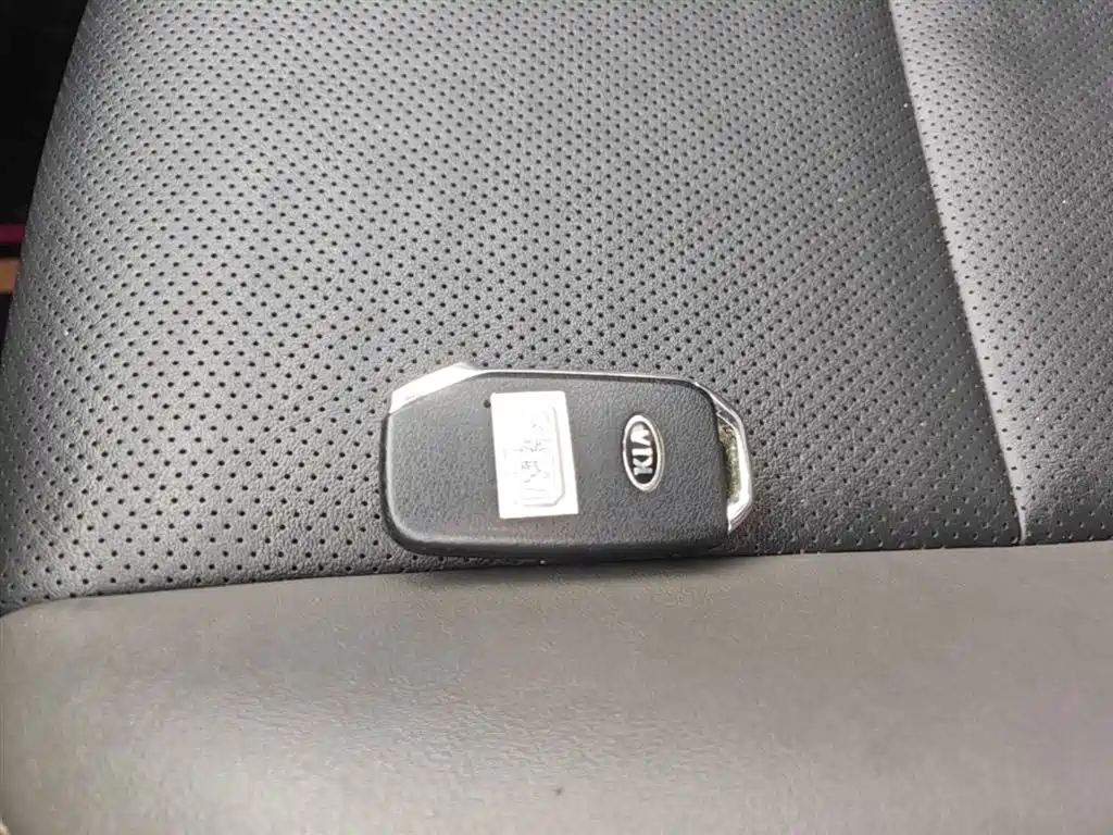 Kia Sportage 2018 2.0L Automatic Smart Luxury (China V) фото 9