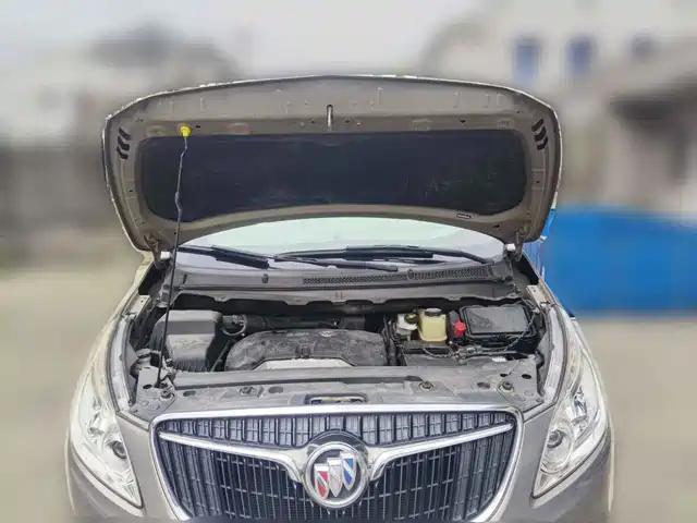 Buick GL8 2017 25S Premium Model China V — фото 3