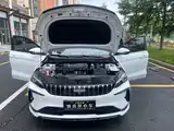 Фото 18 - Geely Binrui