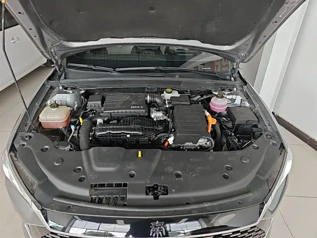 BYD Qin PLUS 2023 Champion Edition DM-i 55KM Leading фото 20