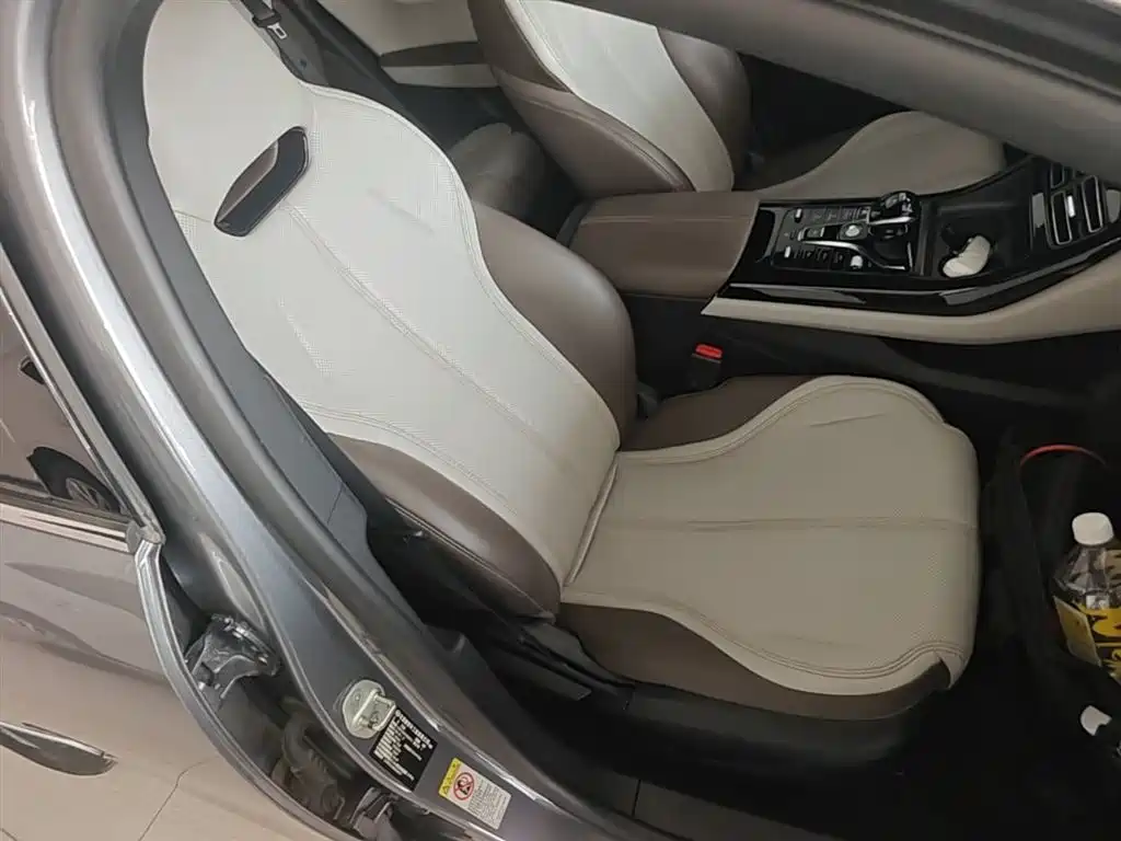 BYD Qin PLUS 2023 Champion Edition DM-i 55KM Leading фото 25