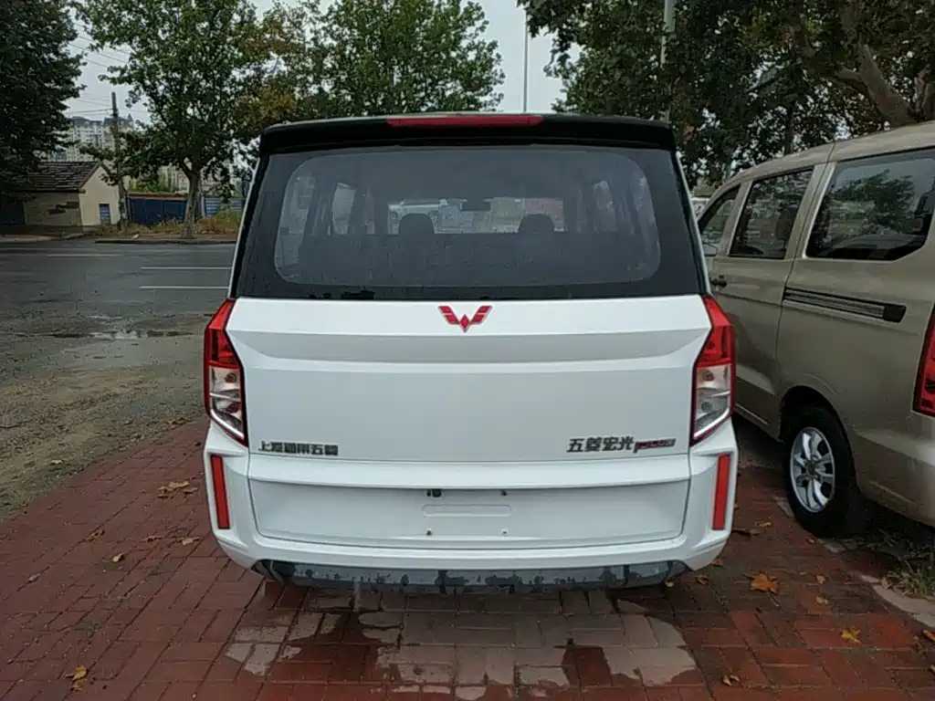 صورة 6 - Wuling Motors Wuling Hongguang PLUS