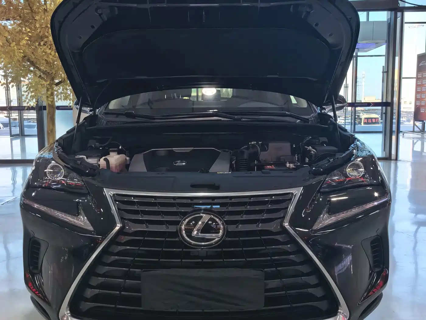 Фото 16 - Lexus NX