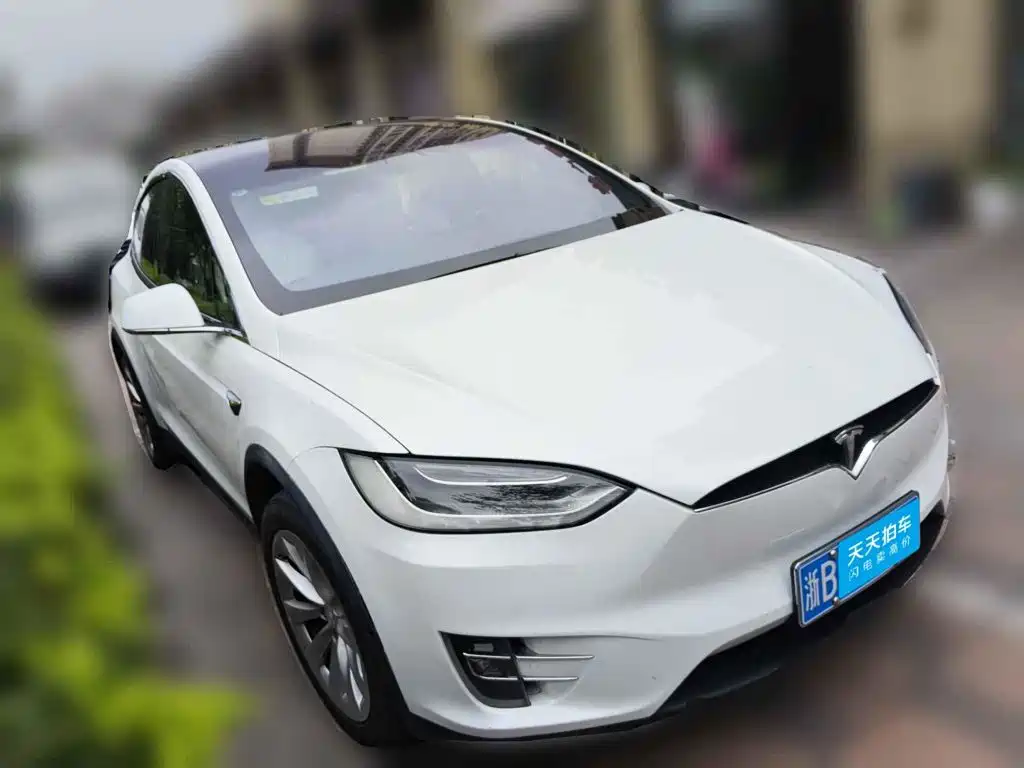 Фото 3 - Tesla Model X