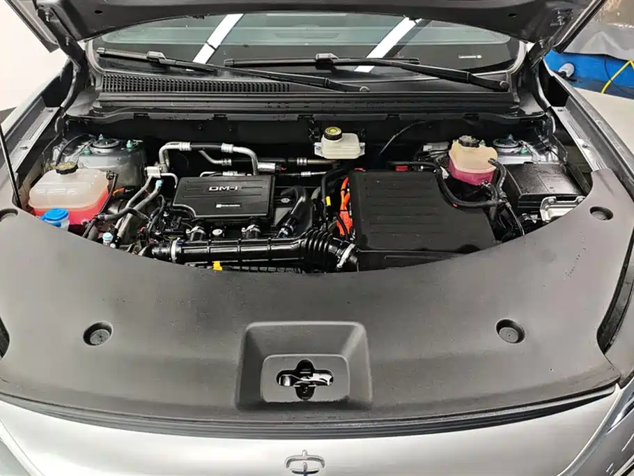 BYD SONGJIANG NEW ENERGY