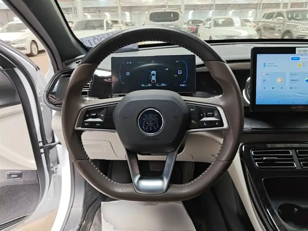BYD Qin PLUS 2021 DM-i 55KM Premium фото 11