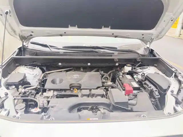 Toyota RAV4 Rongfang 2023 2.0L CVT 2WD 20th Anniversary Platinum Edition — фото 3