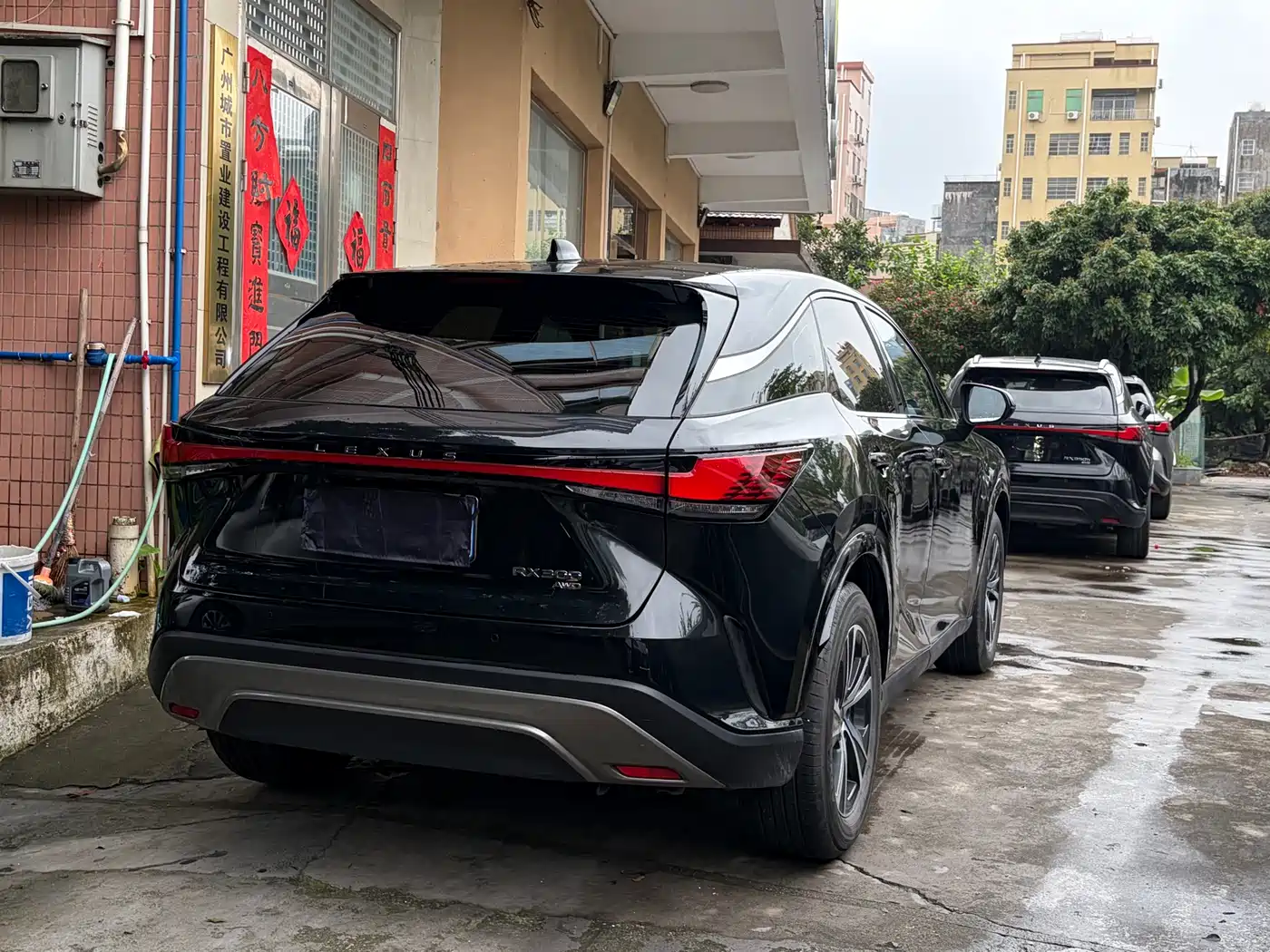 Lexus RX 2025 300 4WD Premium Edition фото 10
