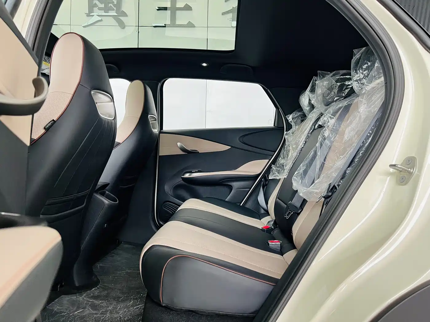 BYD Dolphin 2023 420km Fashion Edition фото 13