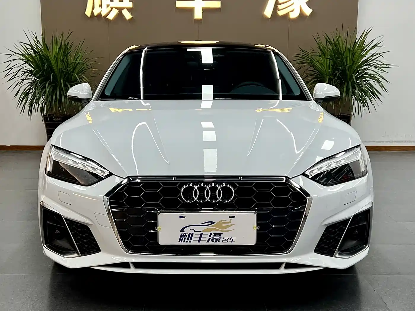 Audi A5 (Import) 2024 2024 Sportback 40 TFSI Fashion Dynamic