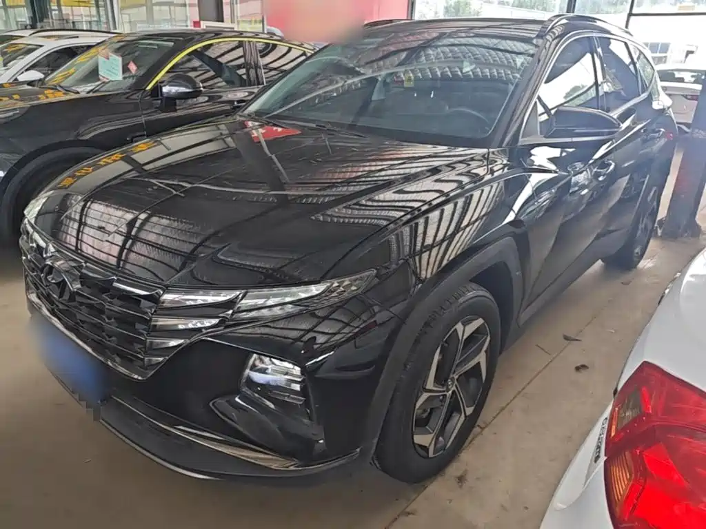 Hyundai Tucson 2024 2023 Tucson L 1.5T Automatic 2WD DLX Luxury Edition