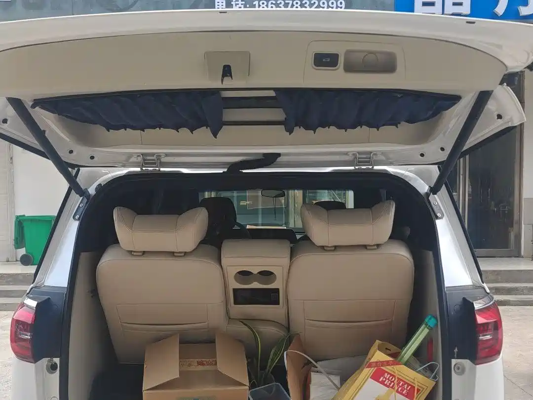 Buick GL8 2021 ES Landlord 653T Luxury фото 15