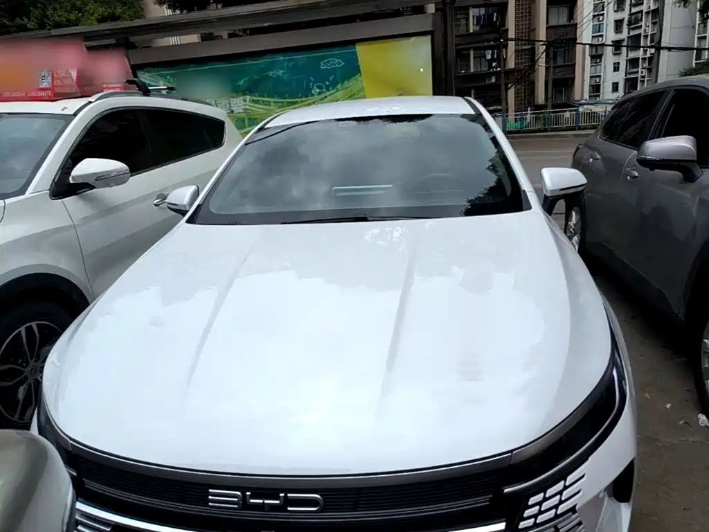 BYD Destroyer 05 2024 Glory Edition DM-i 55KM Luxury фото 3