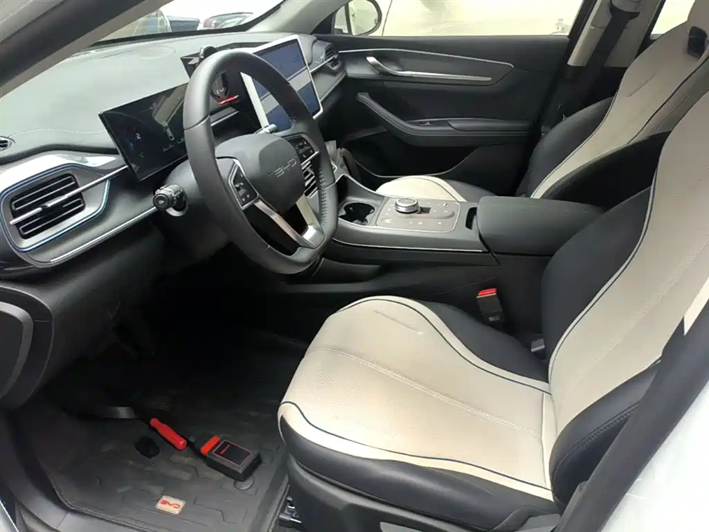 BYD Destroyer 05 2024 Glory Edition DM-i 55KM Luxury фото 15