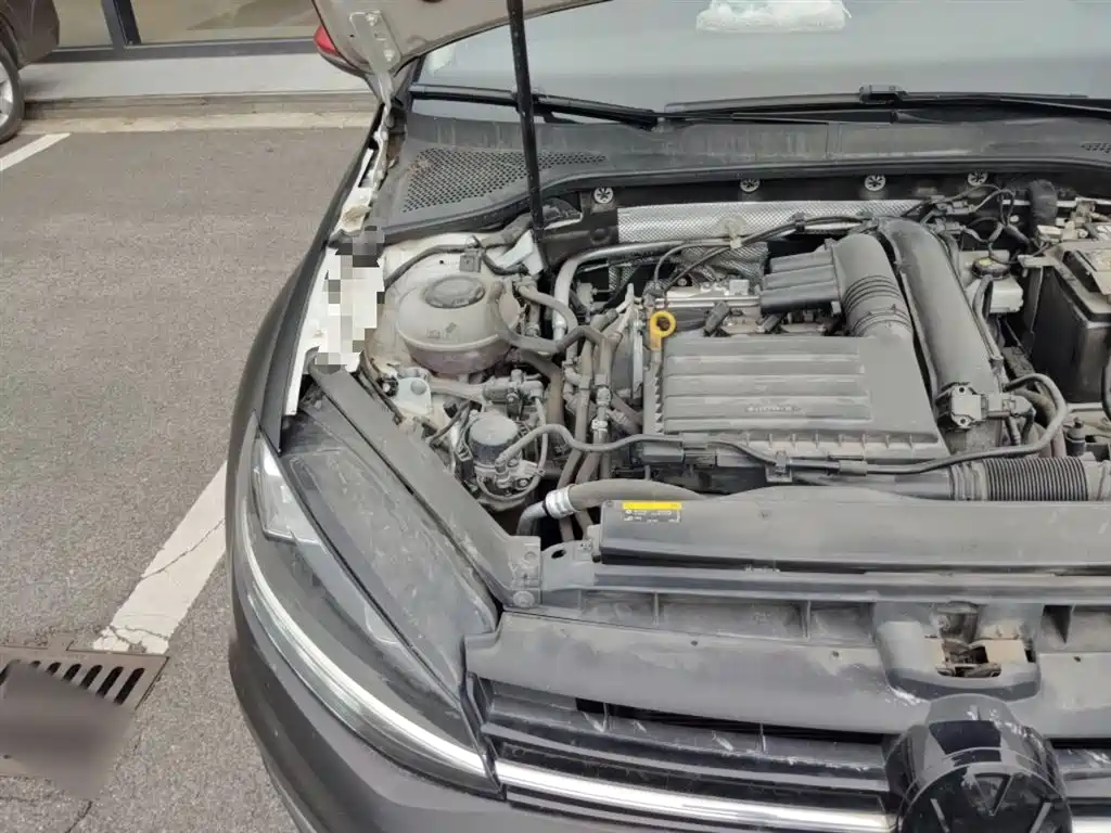 Volkswagen Golf 2020 Beloved Edition 280TSI DSG Luxury фото 21