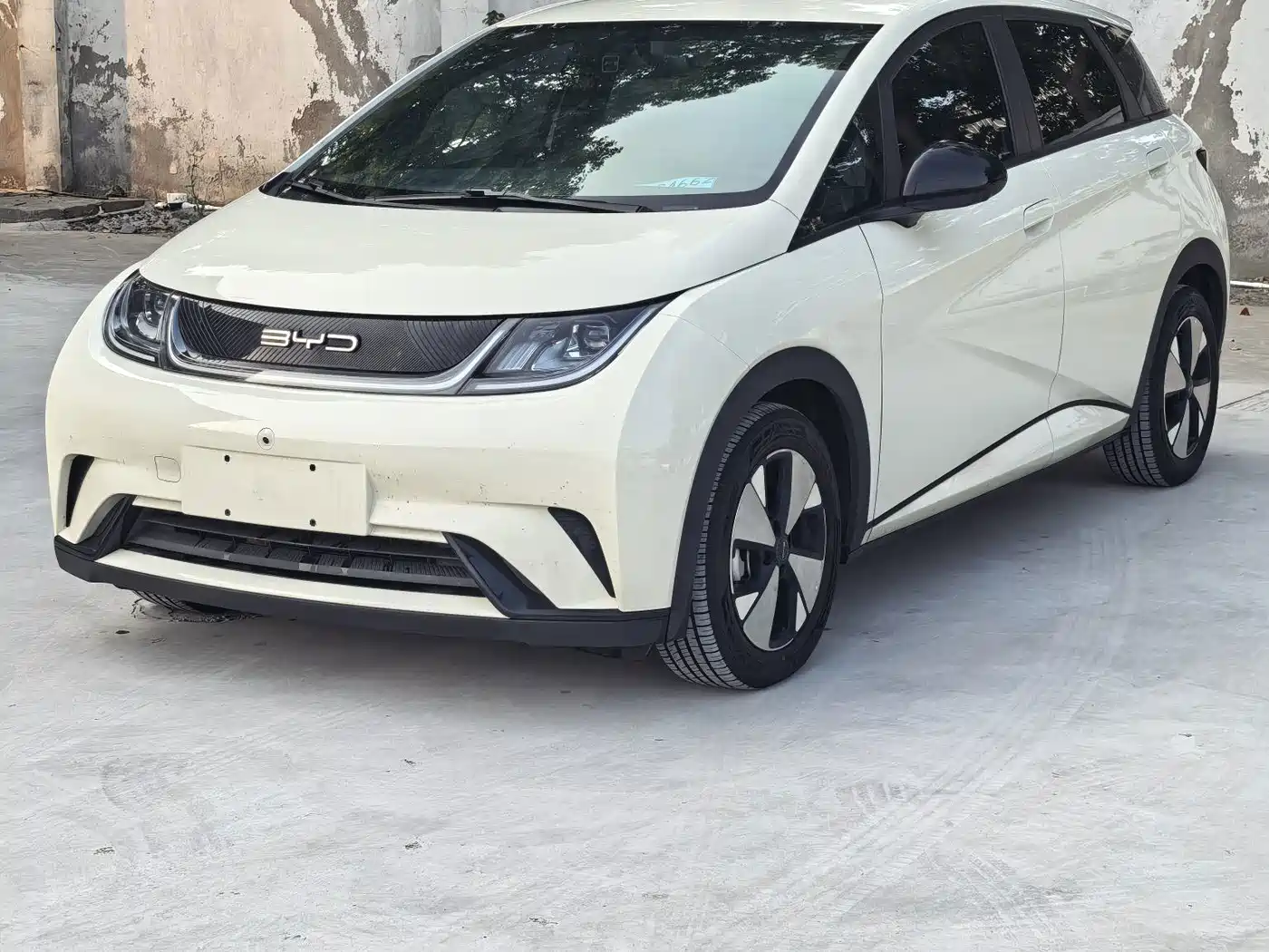 Фото 2 - BYD Dolphin