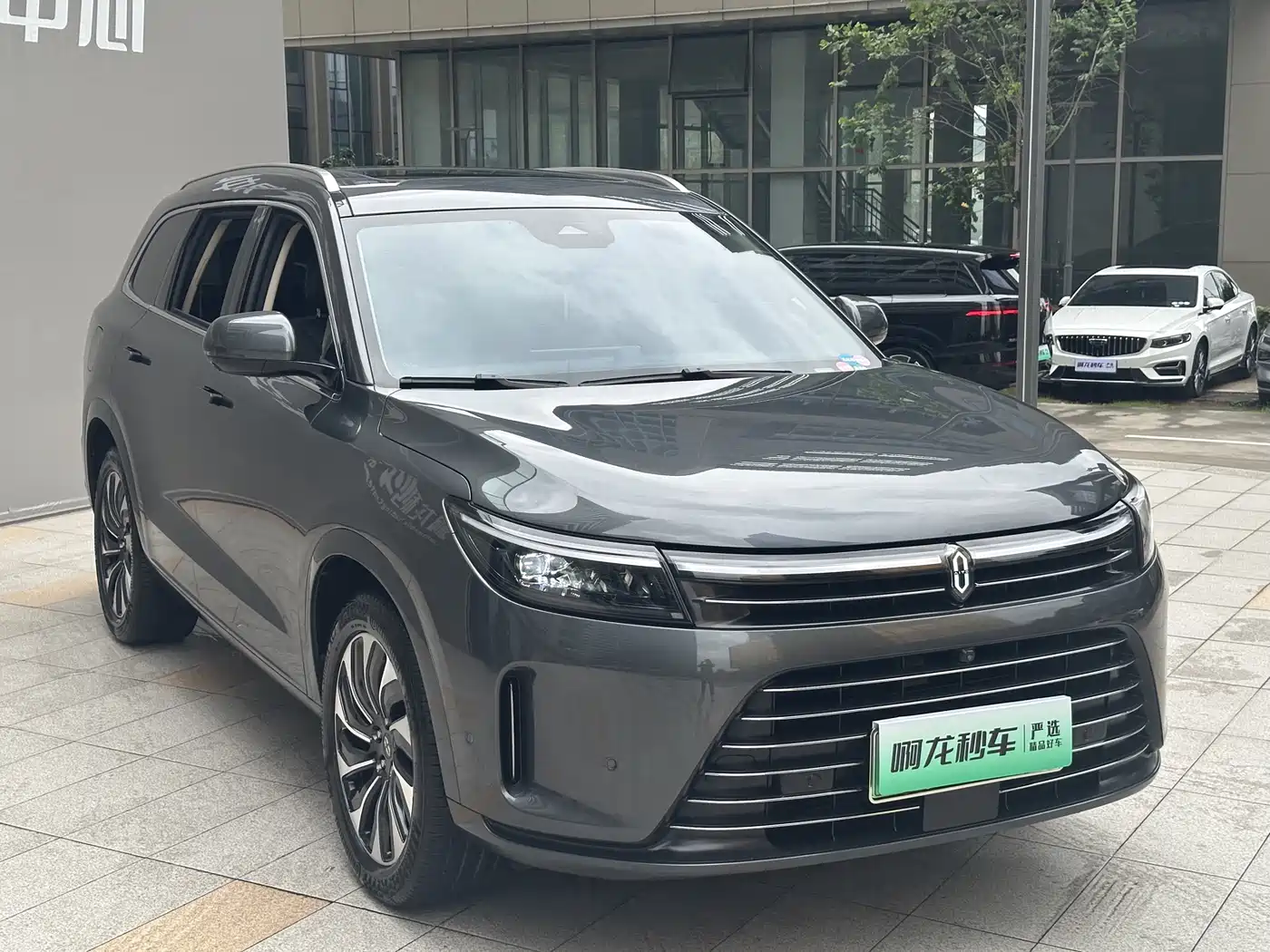 AITO Wenjie AITO M7 2022 1.5T AWD Luxury Edition фото 4