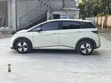 Фото 3 - BYD Dolphin