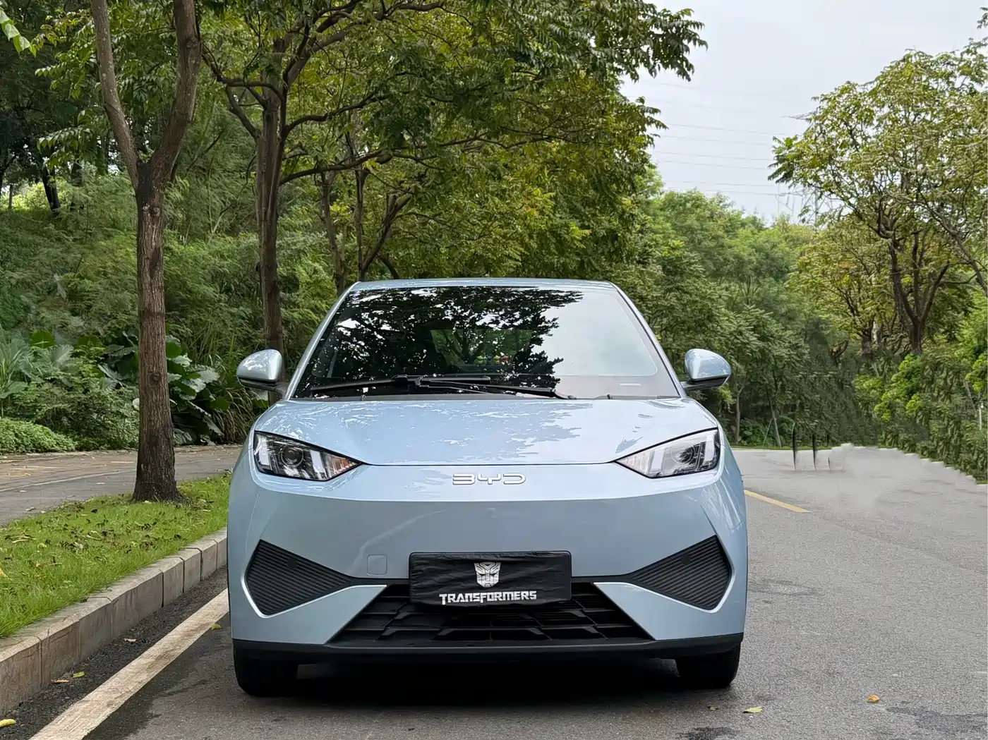 BYD Seagull 2026 2025 Smart Drive Edition 305km Vitality Version