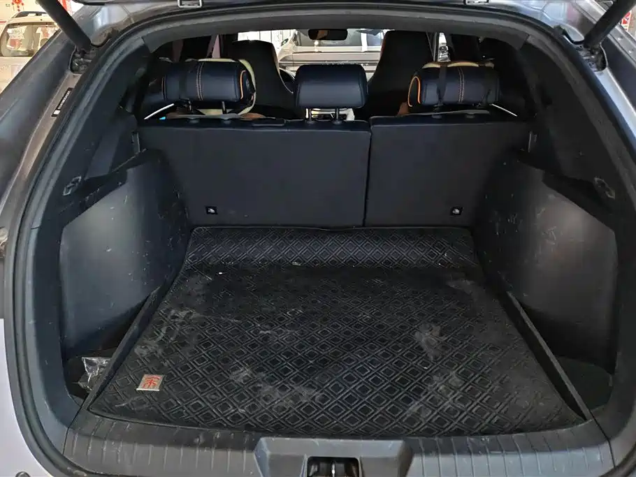 BYD Song PLUS PHEV 2021 EV Flagship фото 4