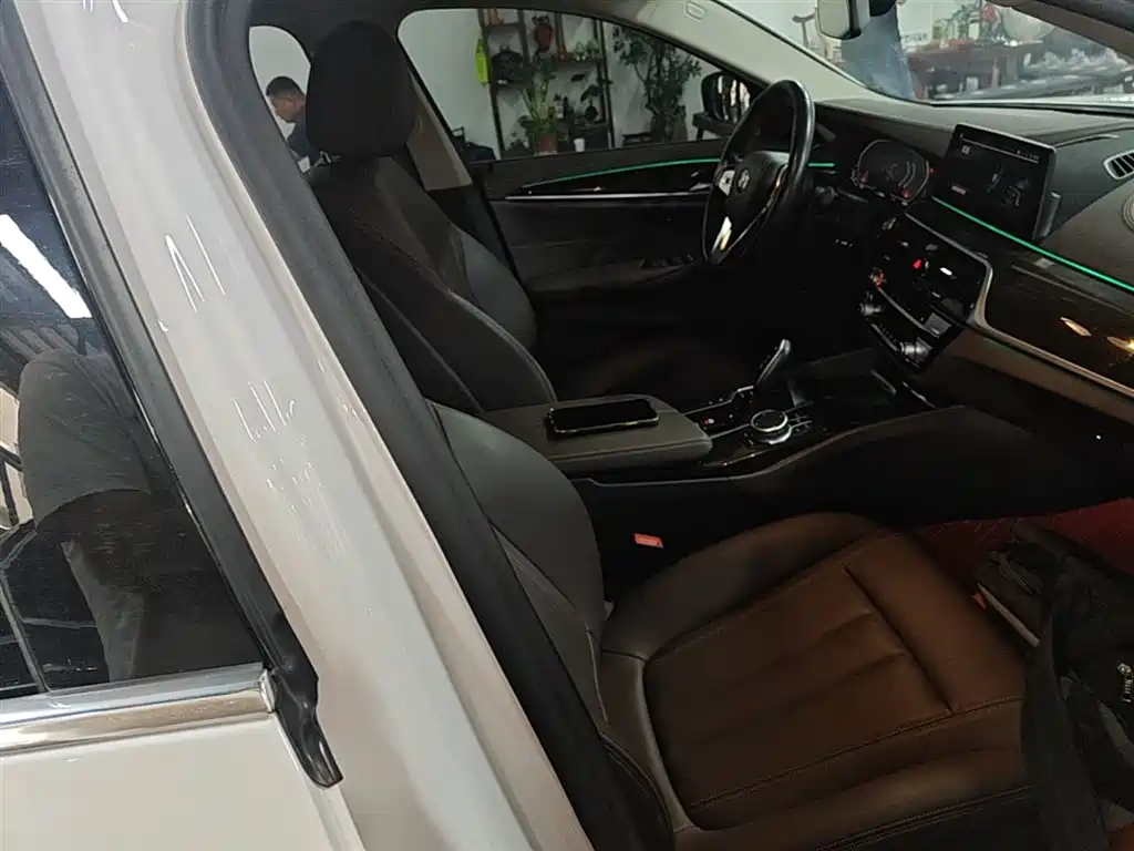 BMW 5 Series 2020 525Li Luxury Package фото 25