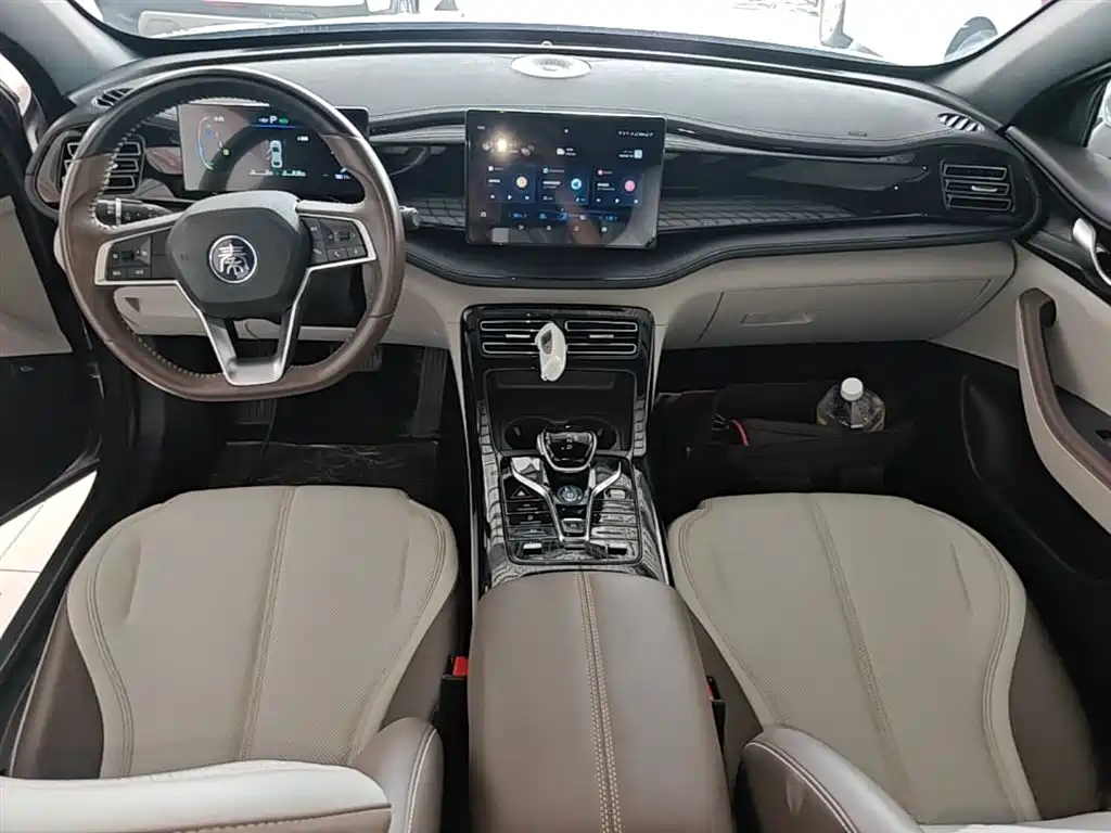 BYD Qin PLUS 2023 Champion Edition DM-i 55KM Leading фото 10