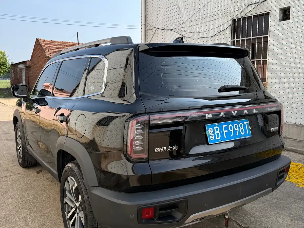 HAVAL BIG DOG
